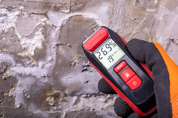 Best Emergency Mold Removal  in Canton, SD