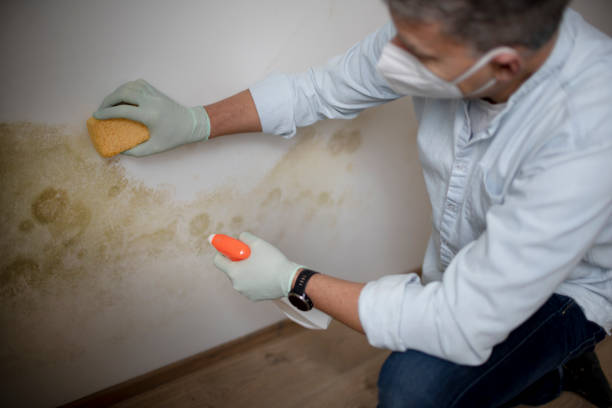 Best Water Damage Restoration  in Canton, SD